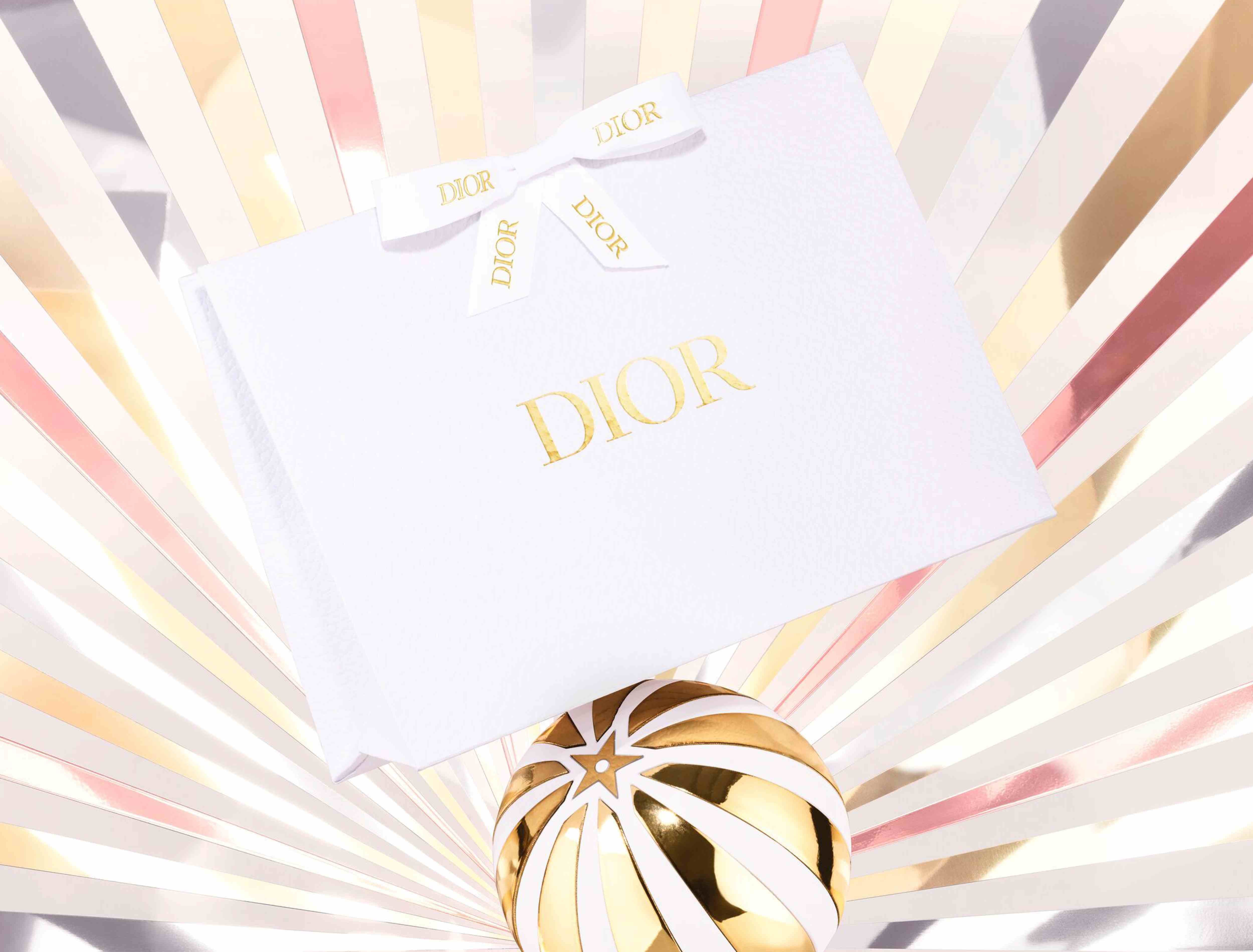 GIFT THE DIOR DREAM