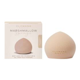 Almond Cheesecake Shape 1