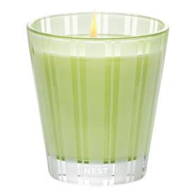 Lime Zest & Matcha Classic Candle 230g