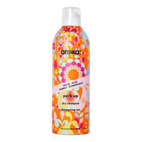 Perk Up - Talc-Free Dry Shampoo