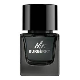 Mr Burberry Eau de Parfum 100ml
