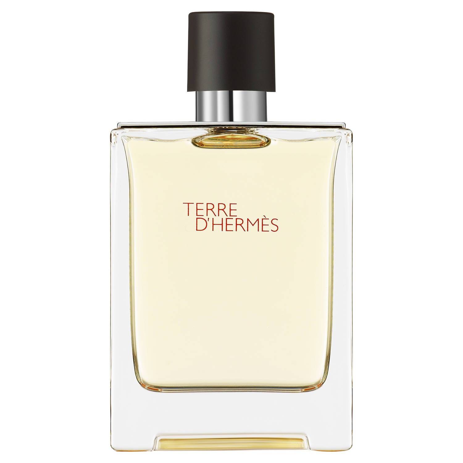 Hermès Terre D'Hermès Eau De Toilette Refill Eau De Toilette 100Ml