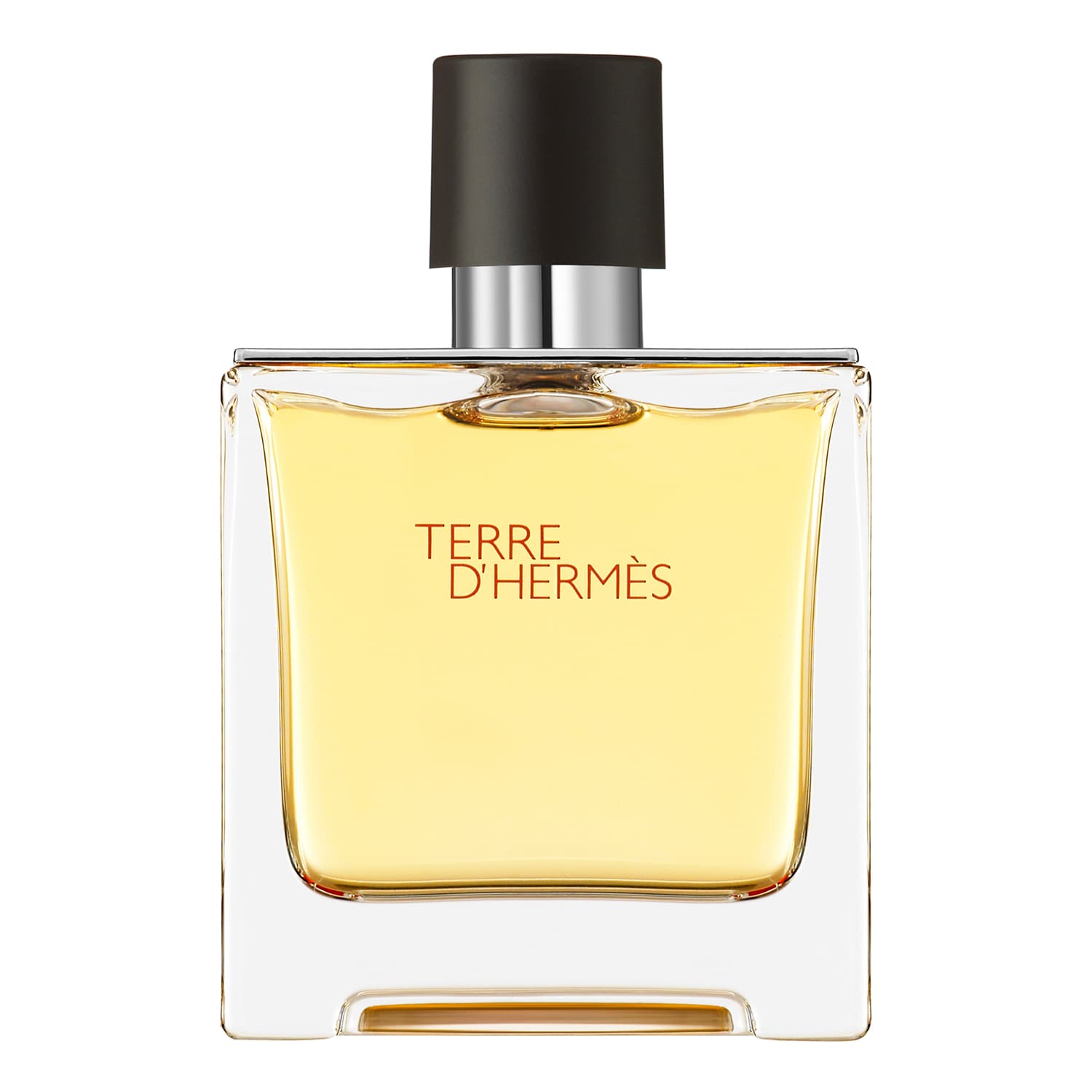 Hermès Terre D'Hermès - Perfume 75Ml