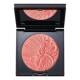 Skin Fetish Divine Blush 9.7g