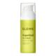 Superfood Day Cream