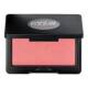 Artist Face Powders 4g