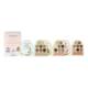 Let it Snow Globe - Eyeshadow palette Set