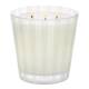 Coconut & Palm 3-Wick Candle