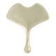 Ginkgo Gua Sha