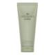 GINGER Hand and Body Lotion