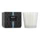 Ocean Mist & Sea Salt 3-Wick Candle