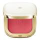 Cheeks&Eyes Match Lasting Blush & Eyeshadow Powder 8g