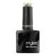 Cat Eye Gel Nail Polish Lucky Clover 8ml