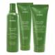 Captivating Curls: Be Curly Advanced™ Styling Essentials