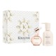 Gloss Absolu Christmas