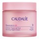 Resveratrol-Lift Retinol Alternative Firming Night Moisturiser