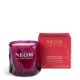 Christmas Wish Travel Candle