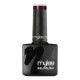 Gel Polish