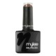 Gel Polish