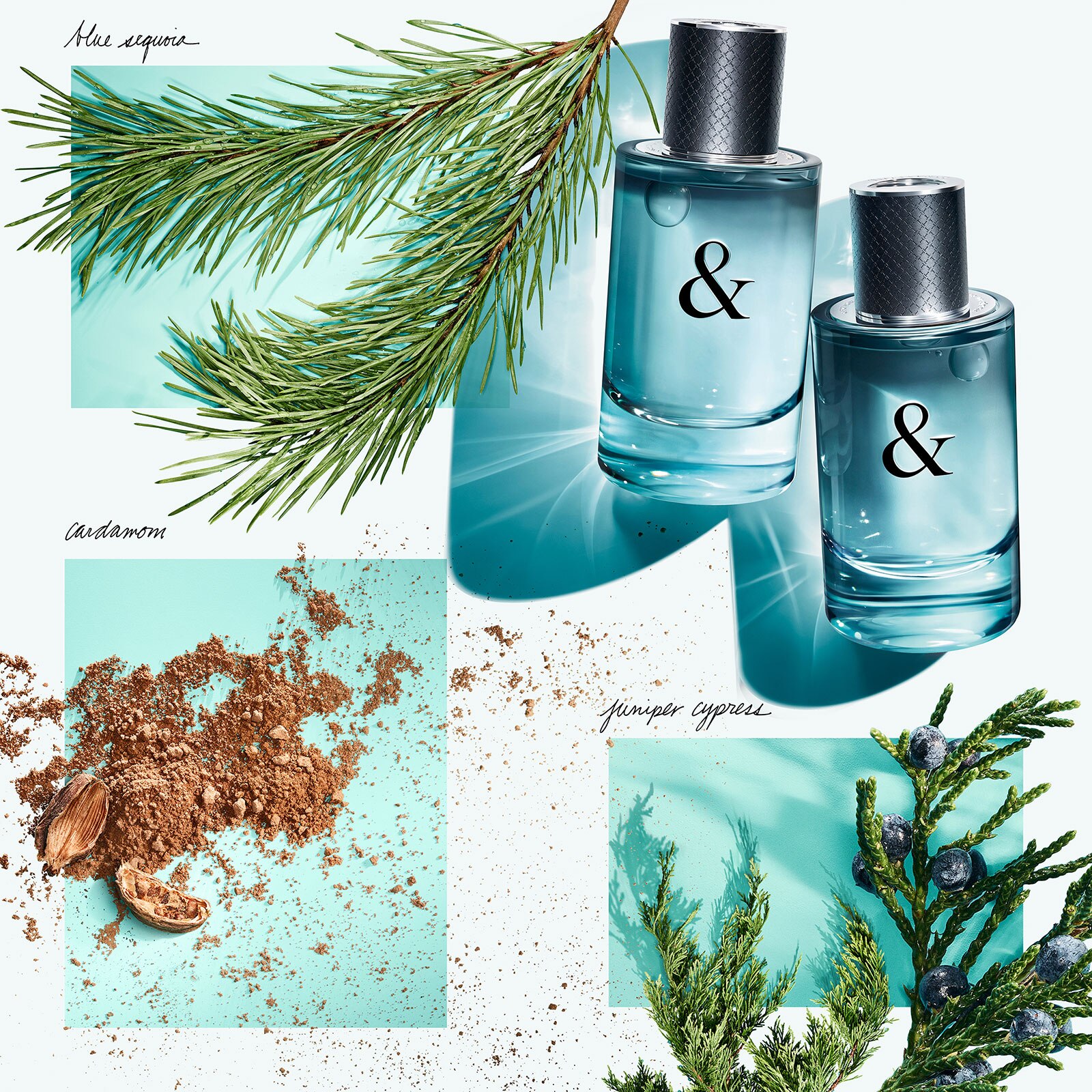 Tiffany & Co. Tiffany & Love For Him Eau De Toilette 50Ml