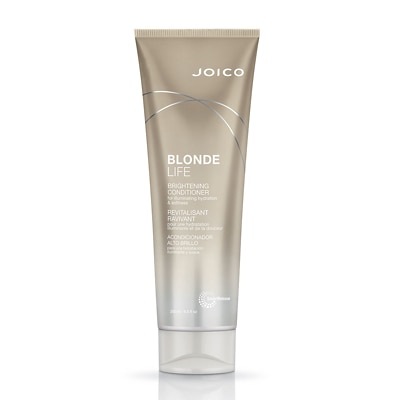 Blonde Life Brightening Conditioner 100