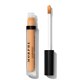 Filter Effect Soft Radiance Concealer