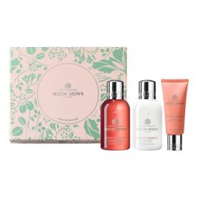 Heavenly Gingerlily Travel Body & Hand Gift Set