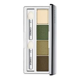 CLINIQUE All About Shadow™ Quad 3.3g