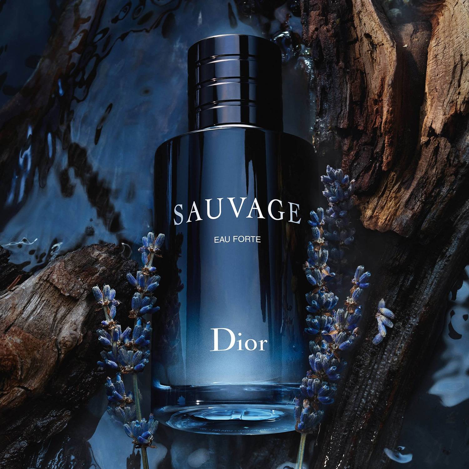 Dior Sauvage Eau Forte 60Ml Compare prices