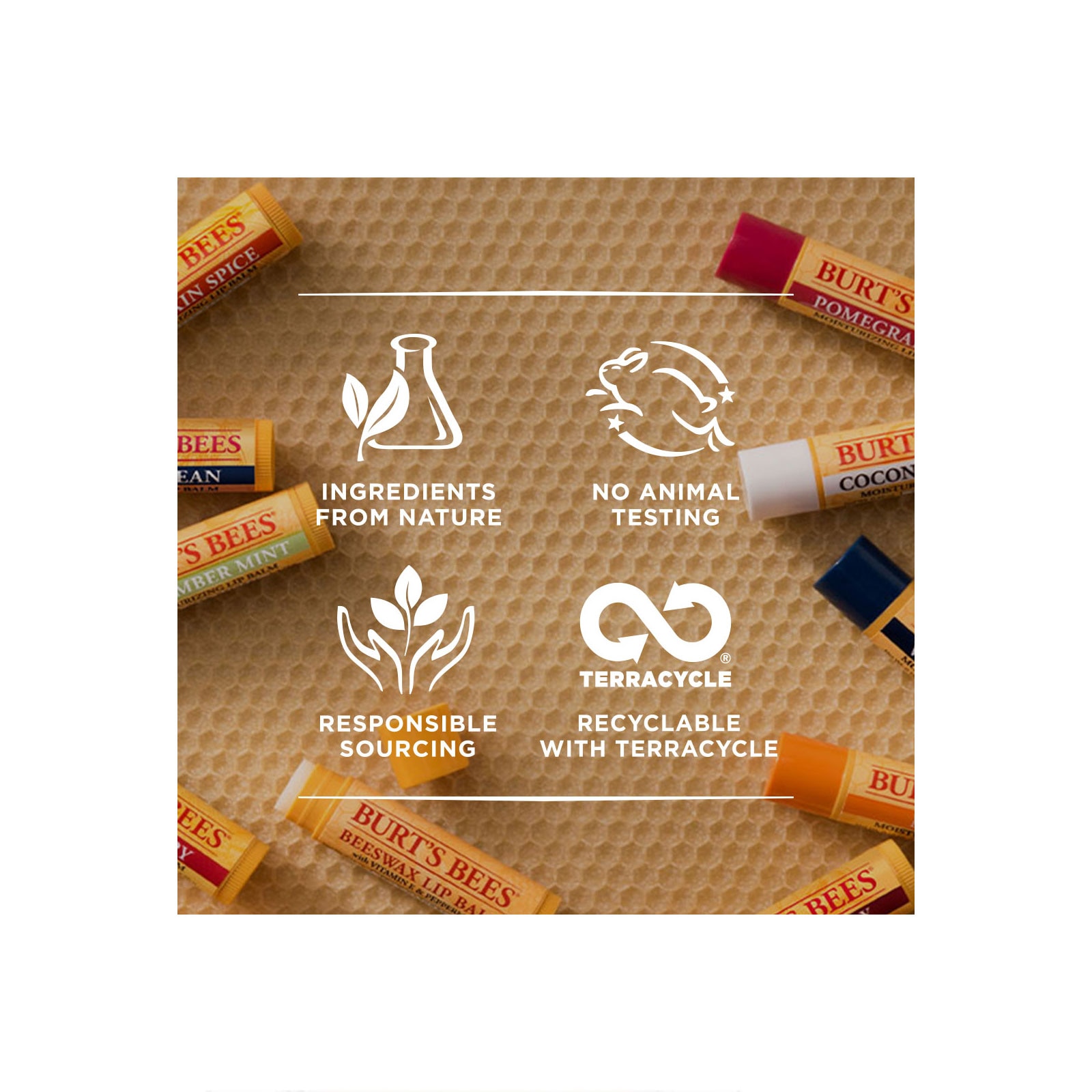 Burt's Bees Honey Lip Balm Tube 4.25G