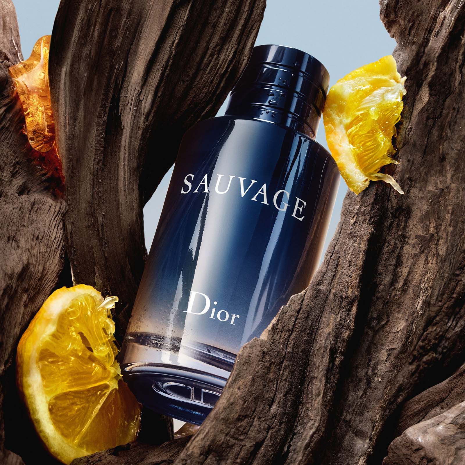 Dior Sauvage Eau De Toilette 60Ml