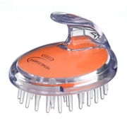 Shampoo and Scalp Massage Brush