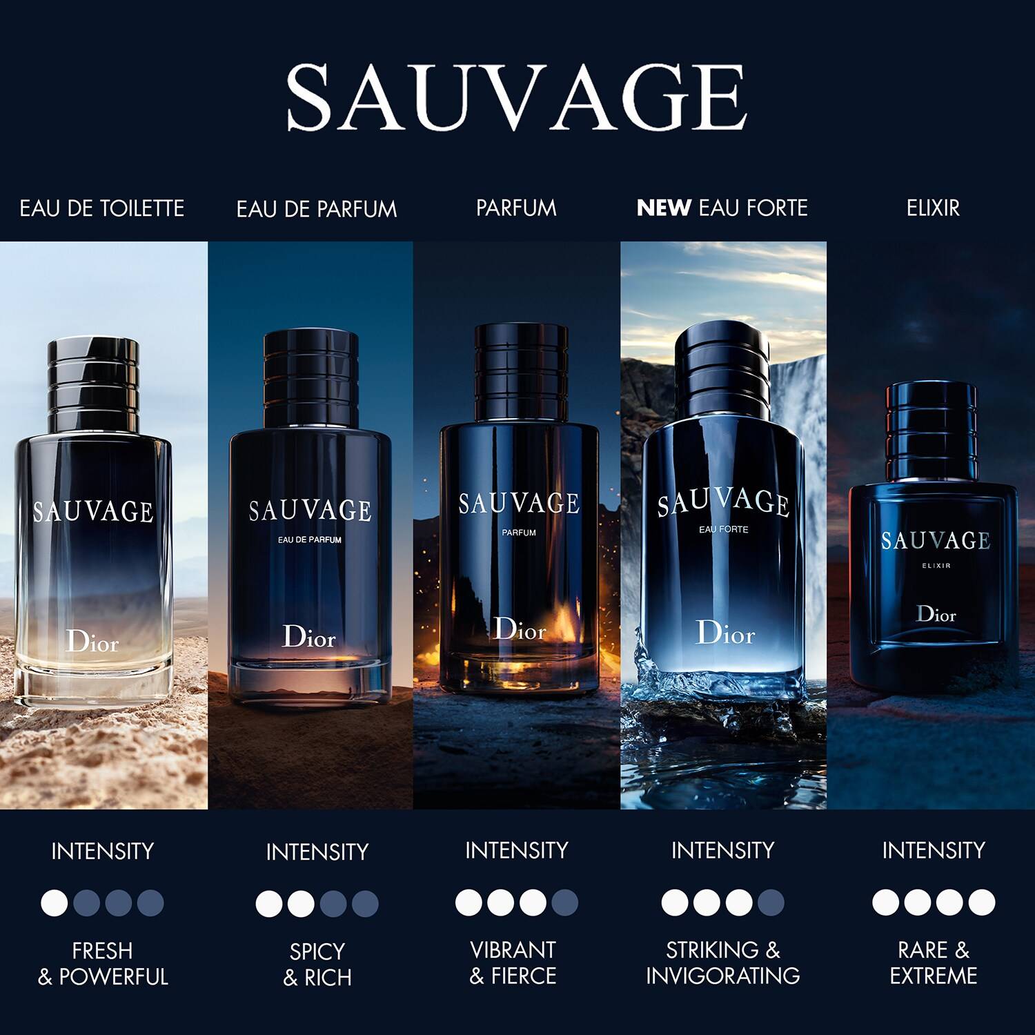 Dior Sauvage Eau De Parfum 60Ml