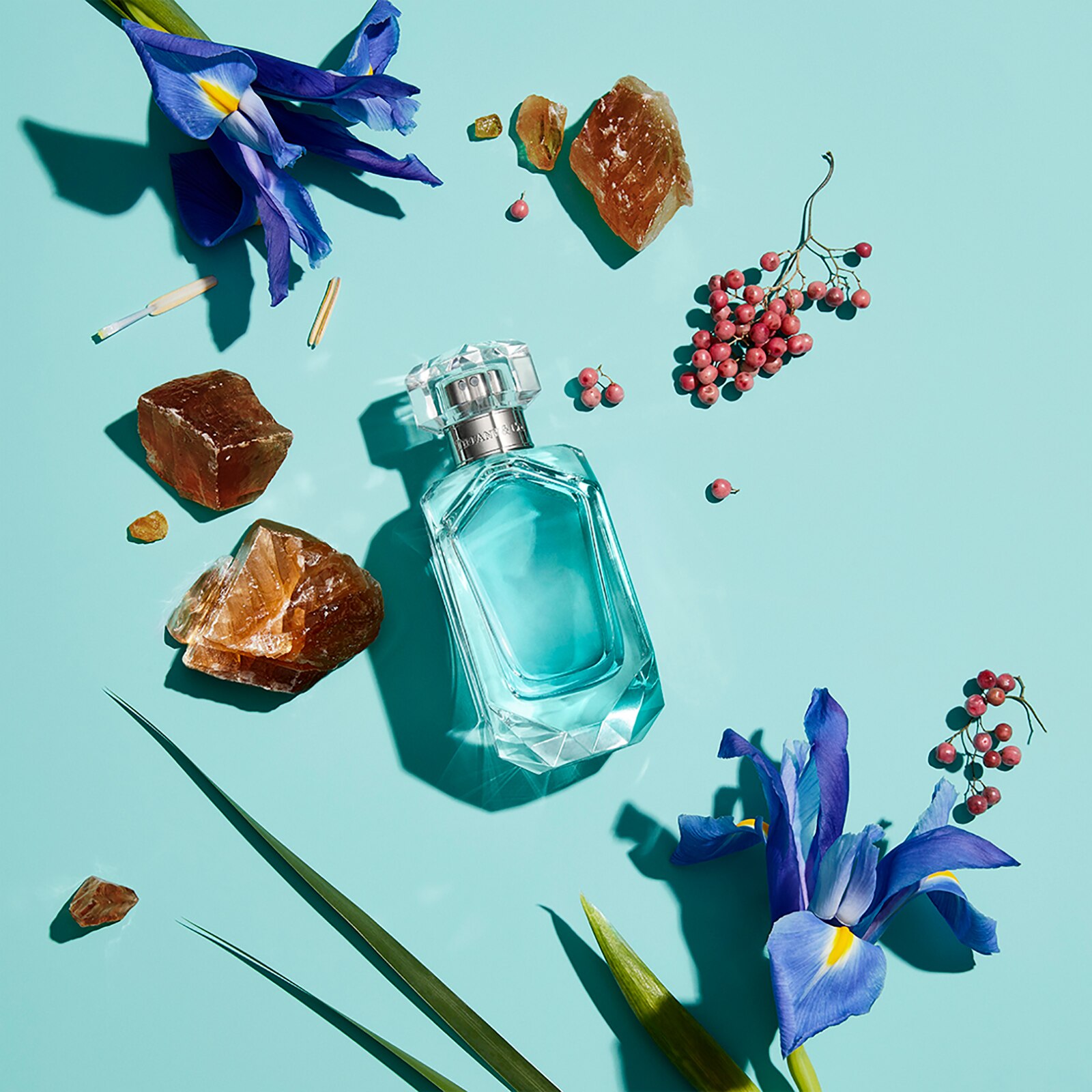 Tiffany & Co. Intense Eau De Parfum For Her 75Ml